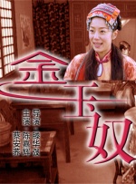 婷婷精品进入