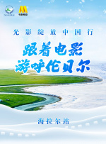 爸爸的好朋友