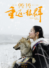艾玛夫人