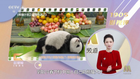 精品国产专区91在线app
